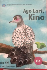 Image of Ayo Lari, Kino