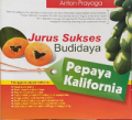 JURUS SUKSES BUDIDAYA PEPAYA KALIFORNIA